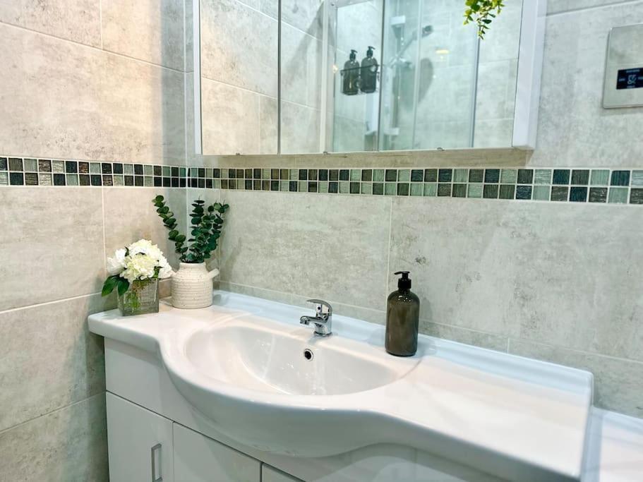 Griffin Executive Sleeps 4 With Cymru Holidays Apartment Newport (Gwent)