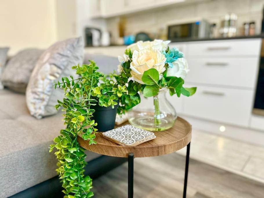 Griffin Executive Sleeps 4 With Cymru Holidays